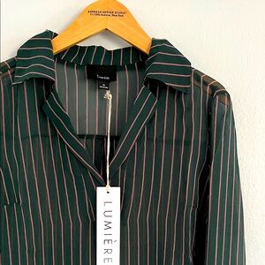 Sheer Striped Green Blouse